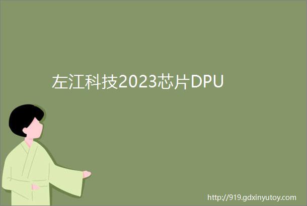 左江科技2023芯片DPU